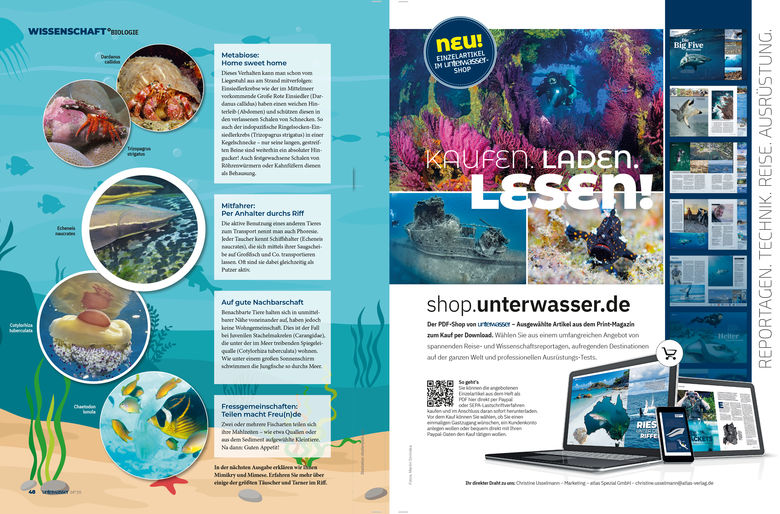 Marine Beziehungskisten (Teil 1) / erschienen in unterwasser