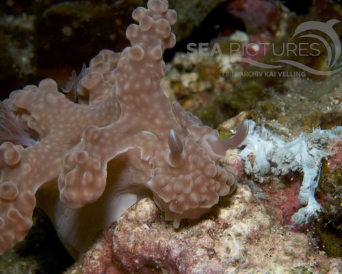 Bio-Themen Bio-Themen