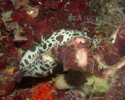 Bio-Themen Bio-Themen