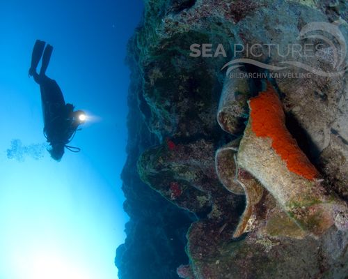 Taucher und Wracks Taucher und Wracks