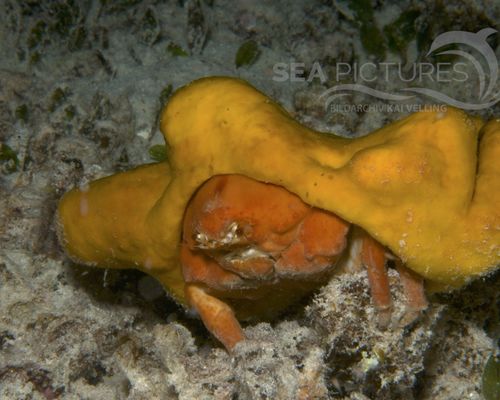 Bio-Themen Bio-Themen