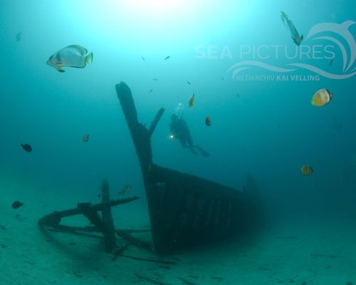 Taucher und Wracks Taucher und Wracks