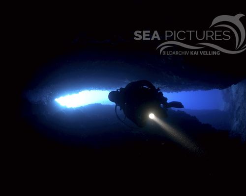 Taucher und Wracks