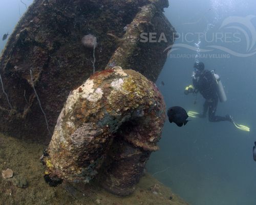 Taucher und Wracks