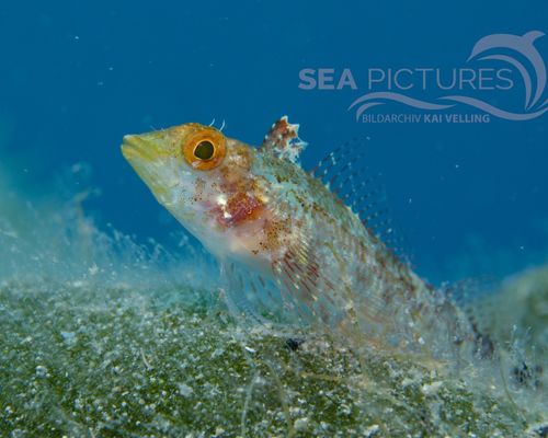 Bio-Themen Bio-Themen