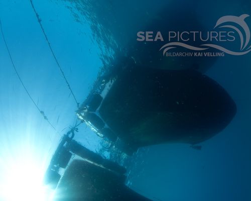 Taucher und Wracks Taucher und Wracks