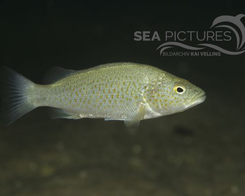 Seen und Flüsse Seen und Flüsse