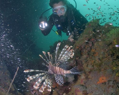 Taucher und Wracks Taucher und Wracks