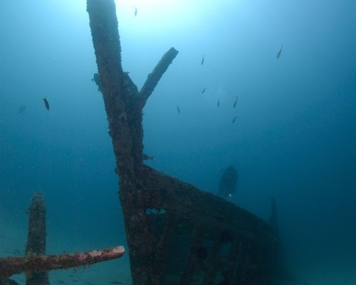 Taucher und Wracks Taucher und Wracks