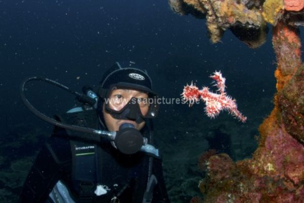 Wrack der Kyokuzan Maru