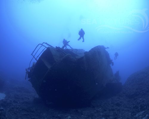 Taucher und Wracks