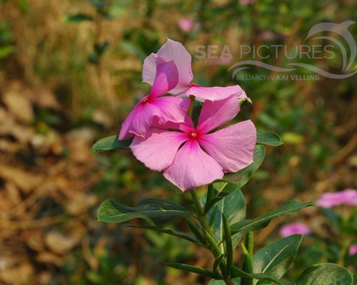 Landschaften Landschaften