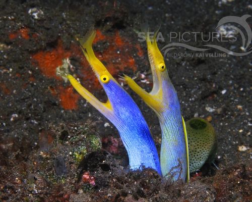 Bio-Themen Bio-Themen