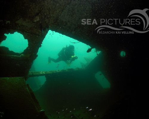Taucher und Wracks