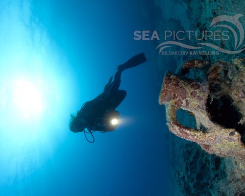 Taucher und Wracks