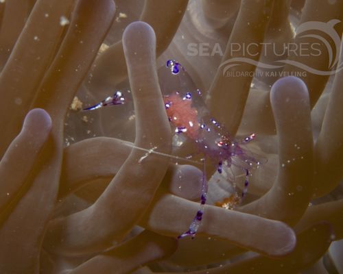 Bio-Themen Bio-Themen