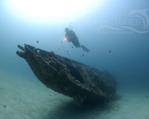 Taucher und Wracks Taucher und Wracks