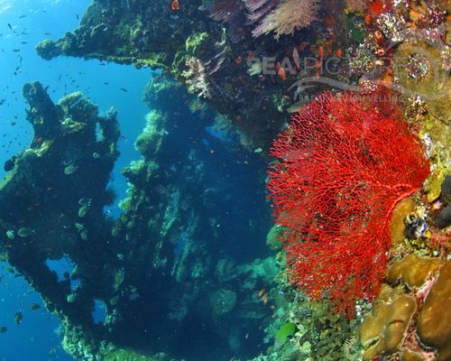 Taucher und Wracks Taucher und Wracks