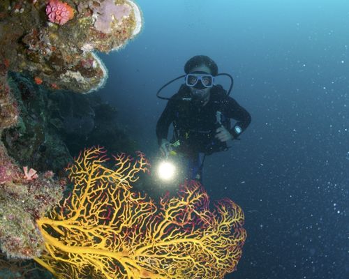 Taucher und Wracks Taucher und Wracks