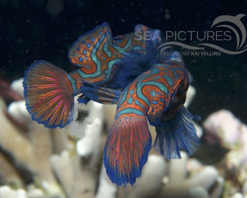 Bio-Themen Bio-Themen