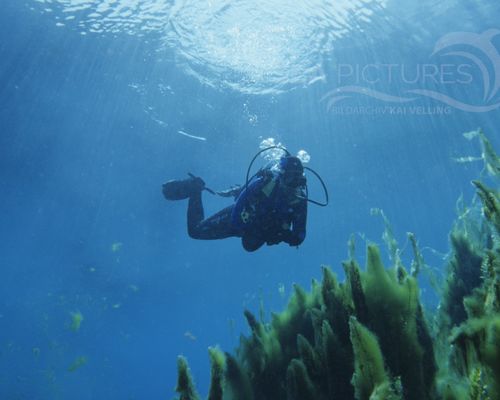 Seen und Flüsse Seen und Flüsse